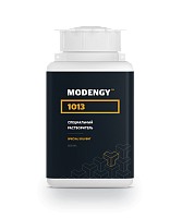   MODENGY 1013